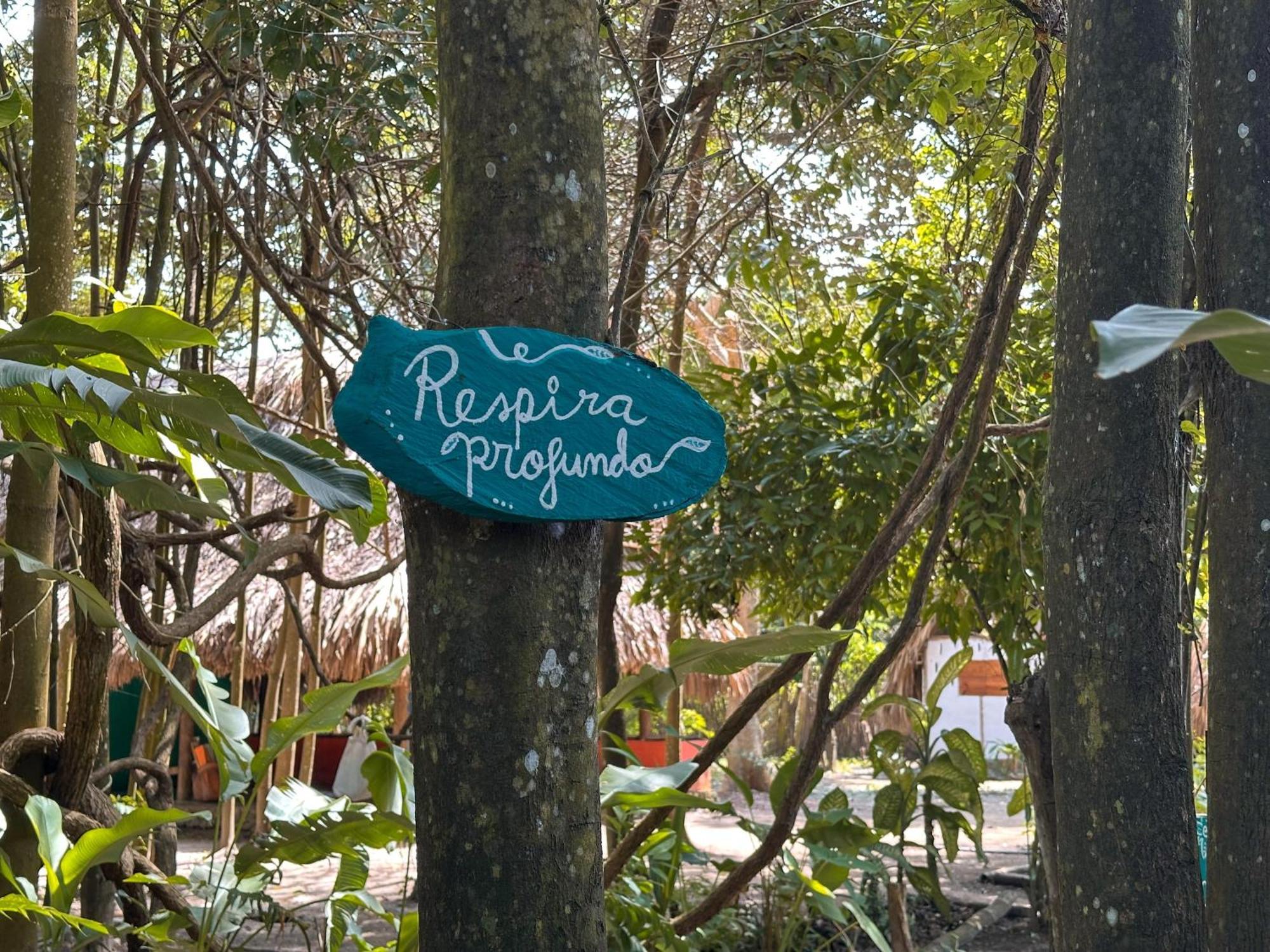 La Aldea Hostel, Camping Y Hamacas Palomino Buitenkant foto