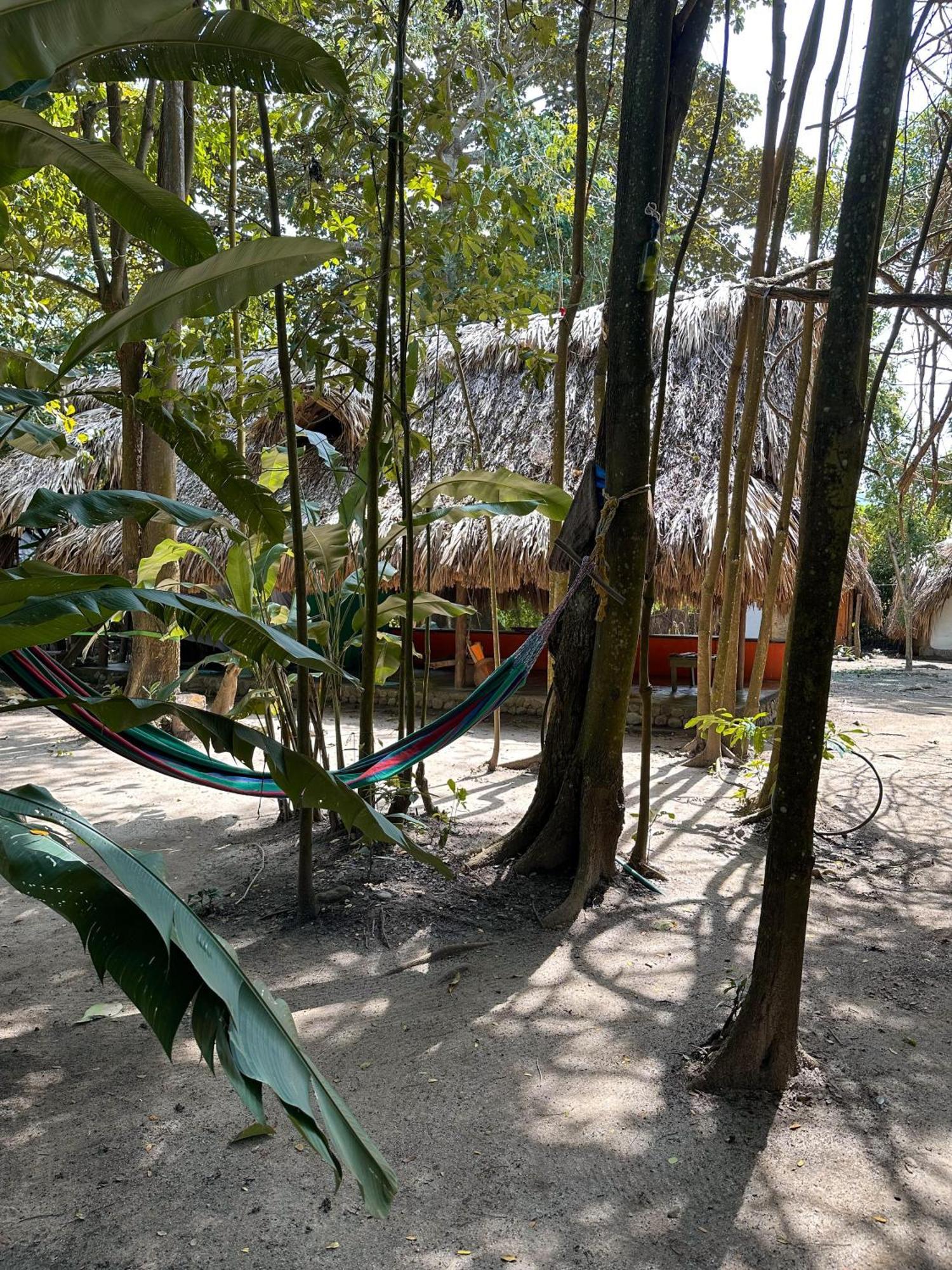 La Aldea Hostel, Camping Y Hamacas Palomino Buitenkant foto