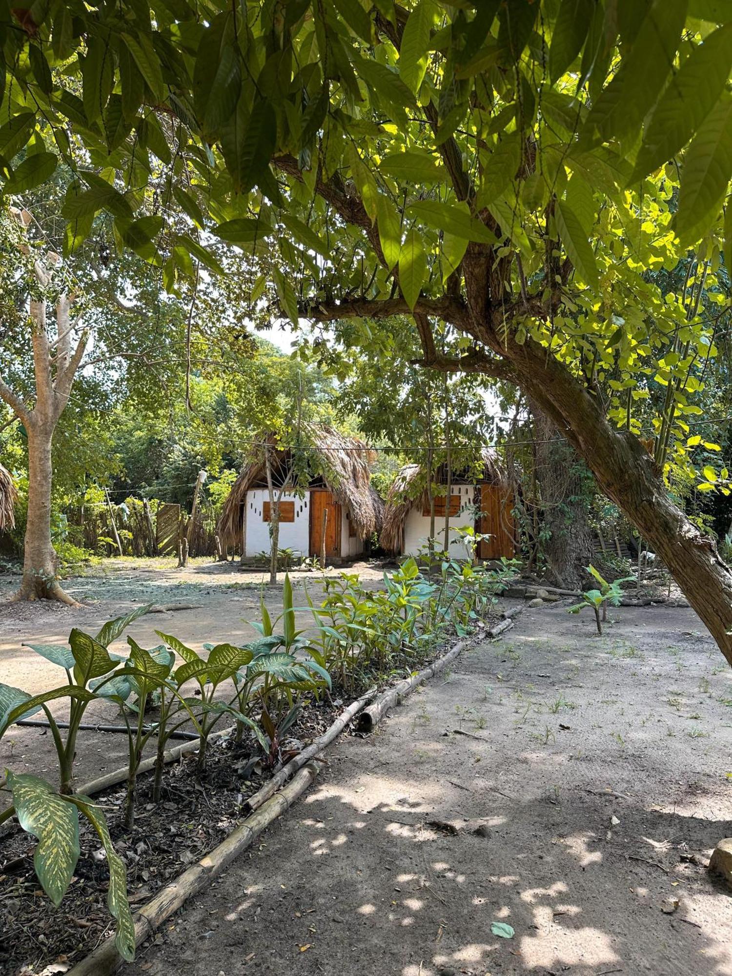 La Aldea Hostel, Camping Y Hamacas Palomino Buitenkant foto
