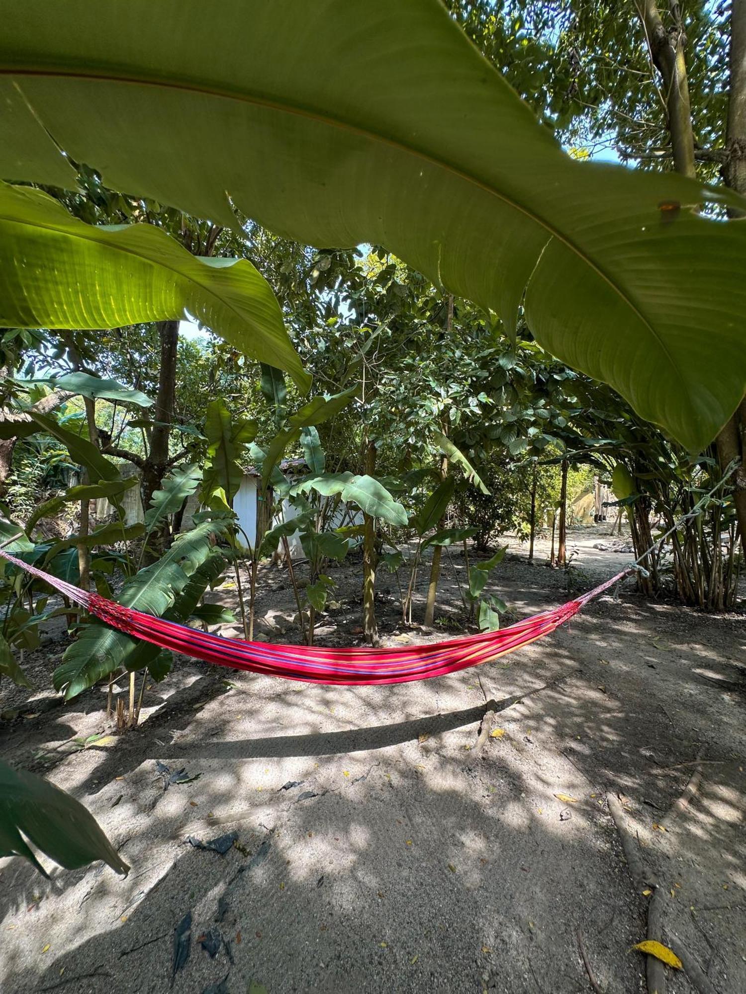 La Aldea Hostel, Camping Y Hamacas Palomino Buitenkant foto